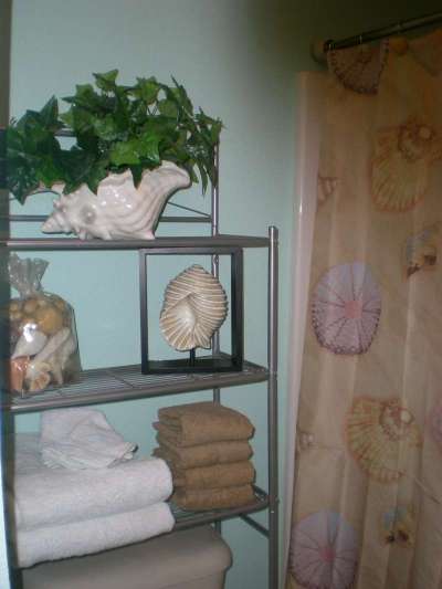 Second Bath Shower