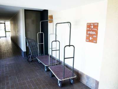 Luggage Carts